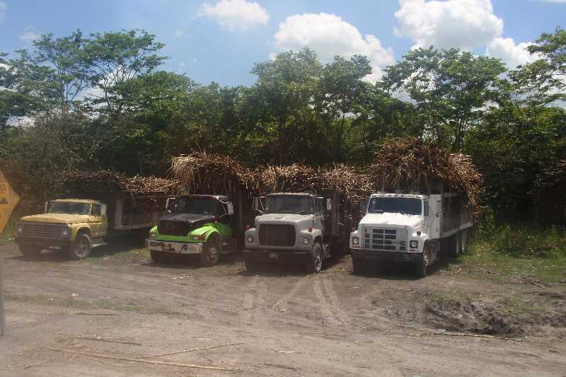 Mexico & Guatemala 2010 - 1194